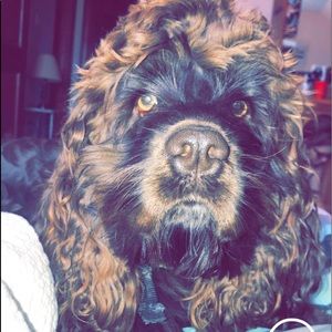 Meet your Posher, Eva